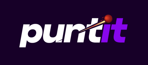 Puntit logo background