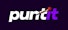 Puntit logo
