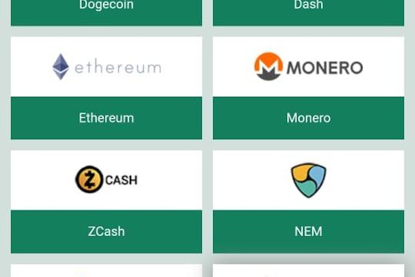 Betwinner App Crypto Deposits