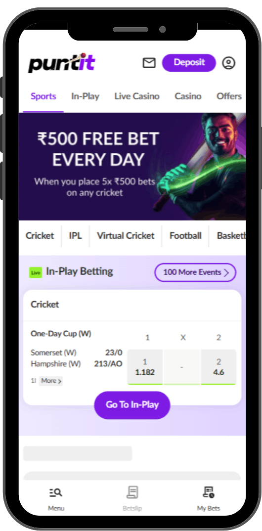 Puntit Betting Site Review