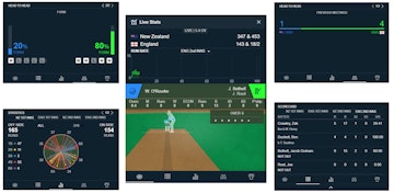 Stake cricket betting