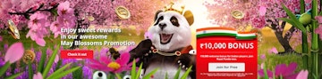 Royal panda online casino welcome bonus
